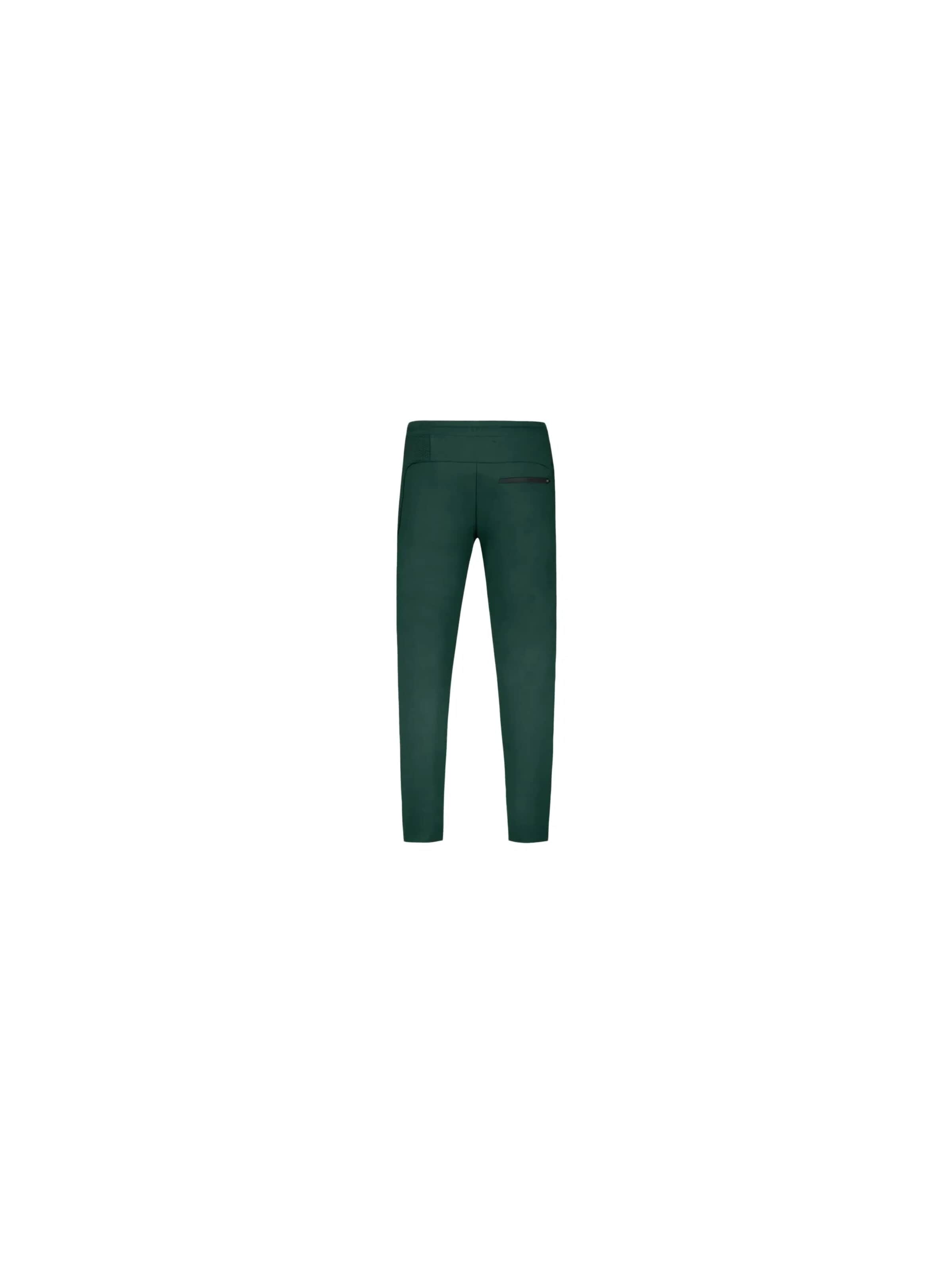 Regular Pantalon de sport 'coq or' LE COQ SPORTIF en vert