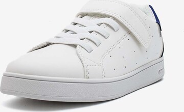 GEOX Sneaker 'J Eclyper A - Vit.Sint.' in Weiß