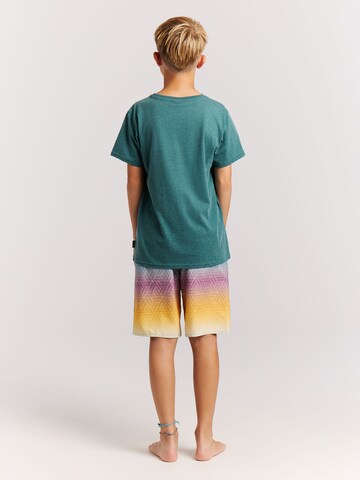 PROTEST Shirt 'PRTRay JR' in Green