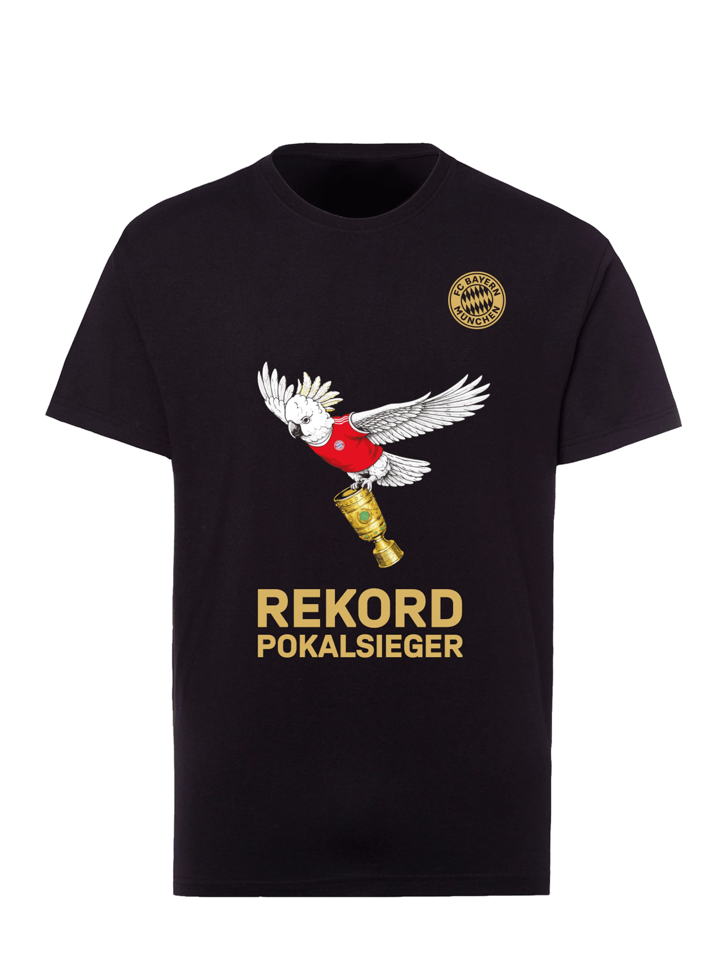 ADIDAS PERFORMANCE T-Shirt FC Bayern DFB-Pokalsieger 2026 in Schwarz: Vorderseite