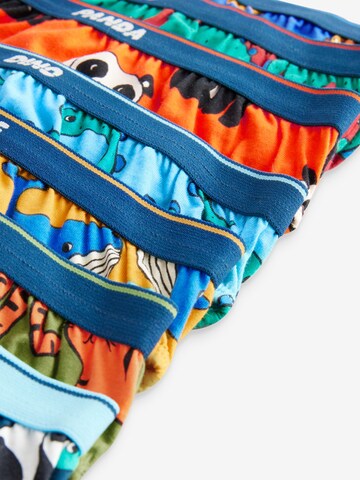 Next Underpants in Mixed colors