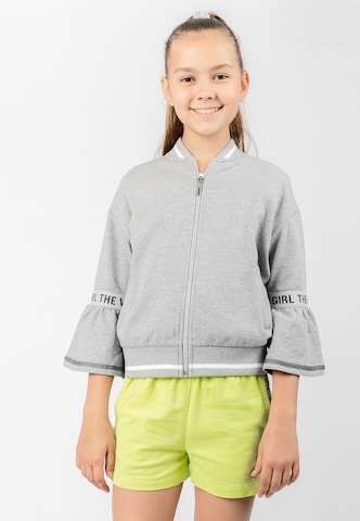 Gulliver Zip-Up Hoodie in Grey: front