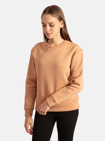 Antioch Sweatshirt i brun