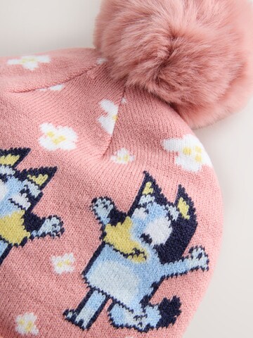 Bonnet 'Bluey' Next en rose