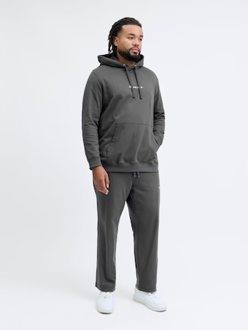 Regular Pantalon JACK & JONES en gris