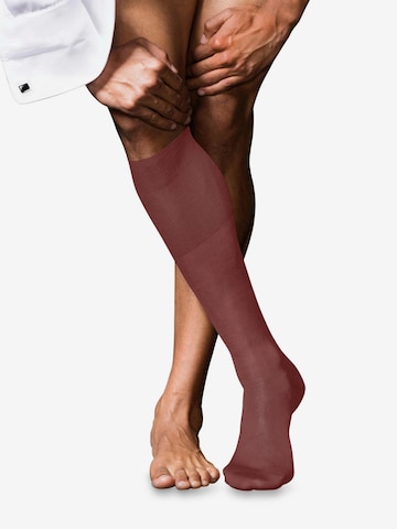 FALKE Knee High Socks 'No. 9 Pure Fil d´Écosse' in Red: front