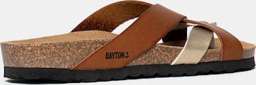 Bayton Mules 'Alava' in Brown