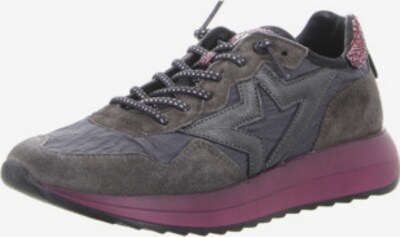 Cetti Sneaker in 38 in dunkelgrau / dunkelpink, Produktansicht