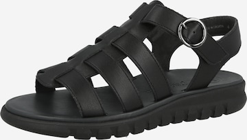 juoda Paul Green Sandalai: priekis