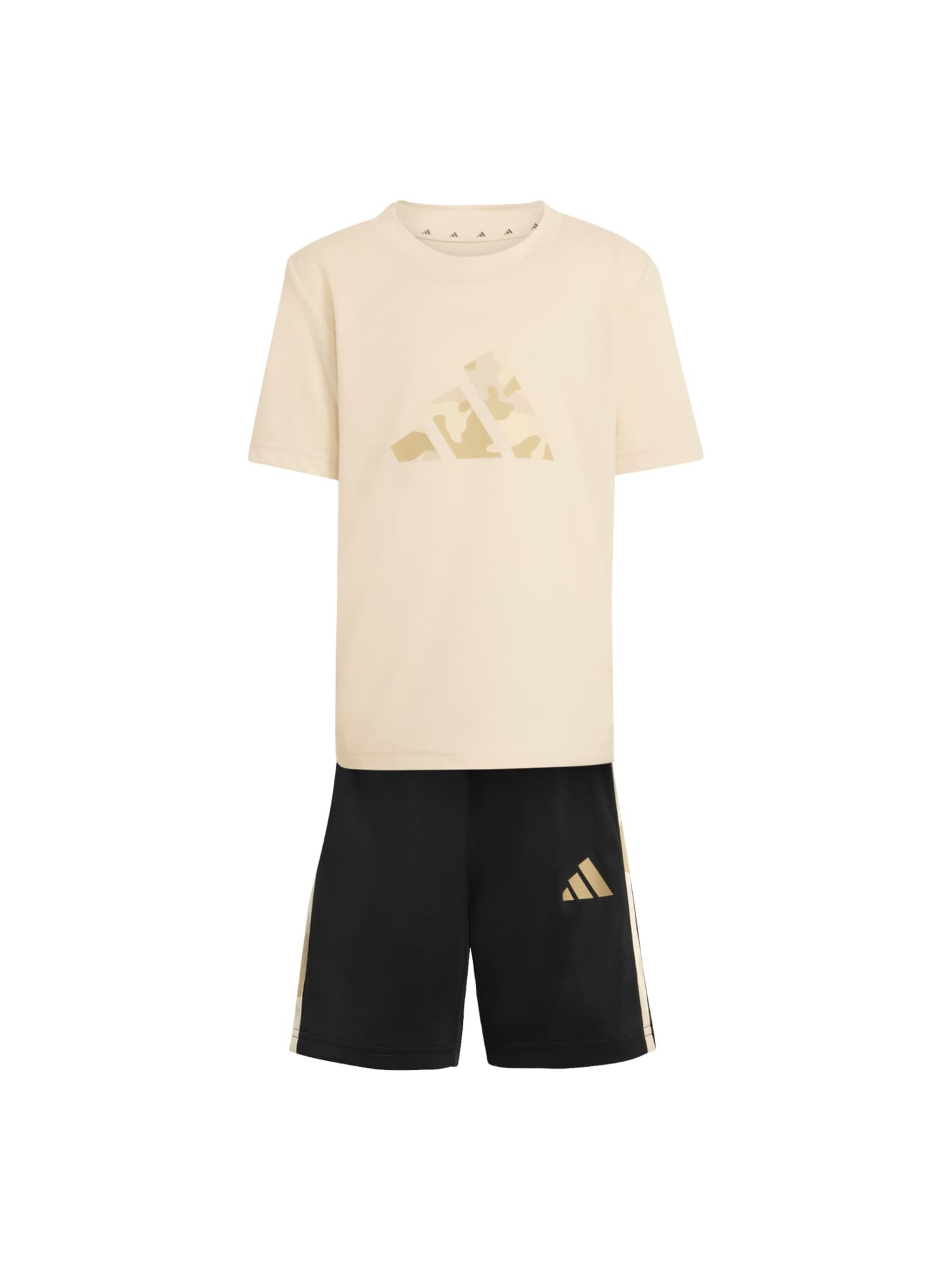 ADIDAS SPORTSWEAR Тренировочный костюм 'Train Essentials' в Серый: спереди