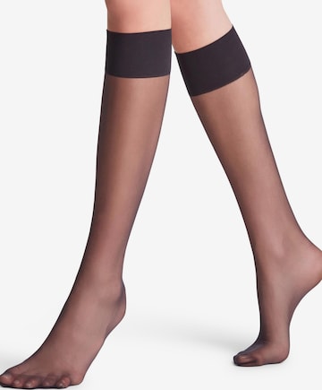 FALKE Knee High Socks 'Pure Matt' in Black: front