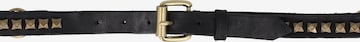 Campomaggi Belt in Black