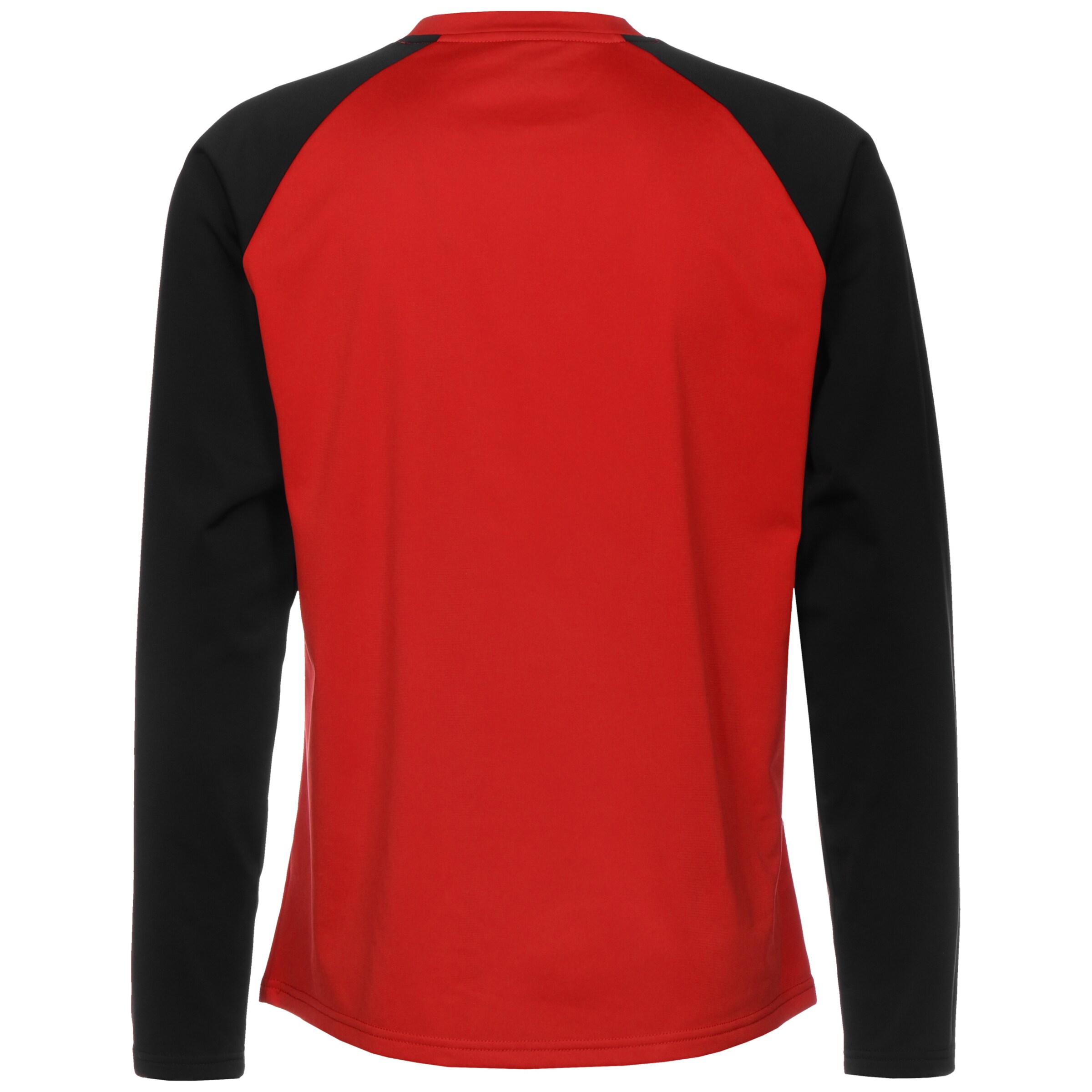 PUMA Funktionsshirt 'Team Liga' in Rot