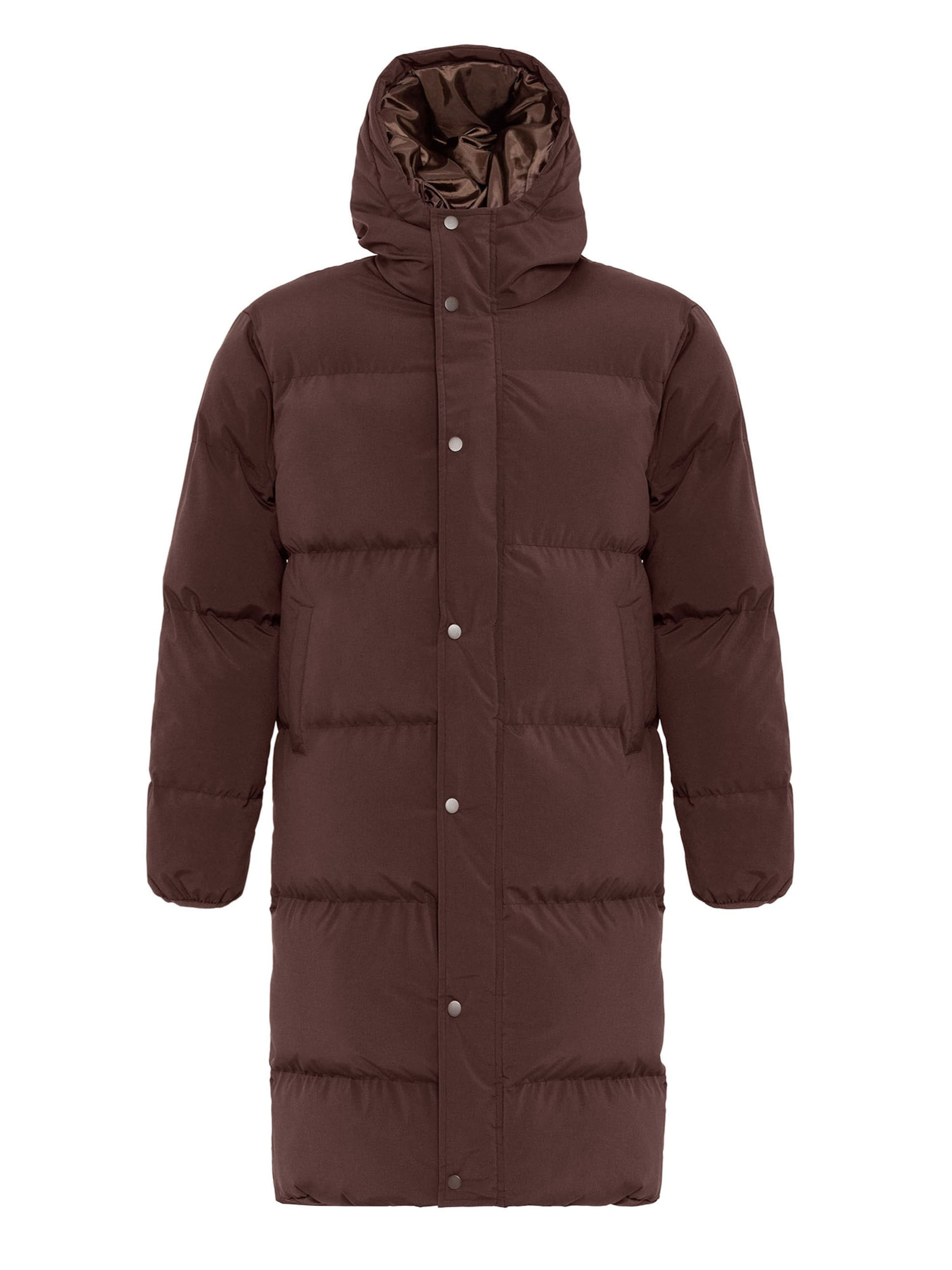 Antioch Winter jacket in Brown: front