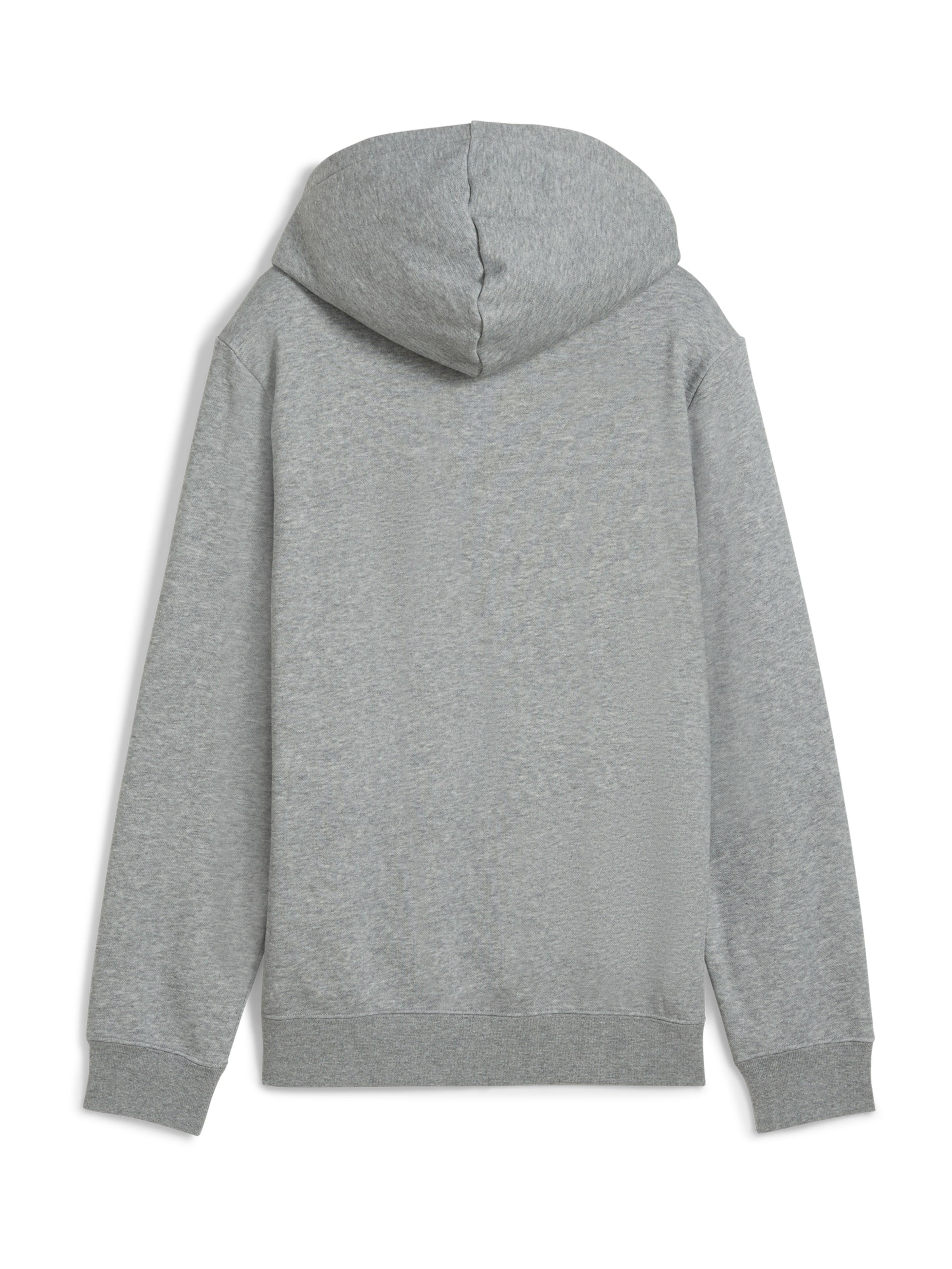 PUMA Sweatshirt 'Ess No. 1' i grå