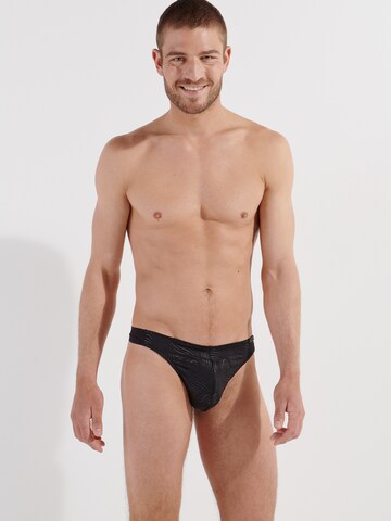 HOM Panty ' Oslo ' in Black: front