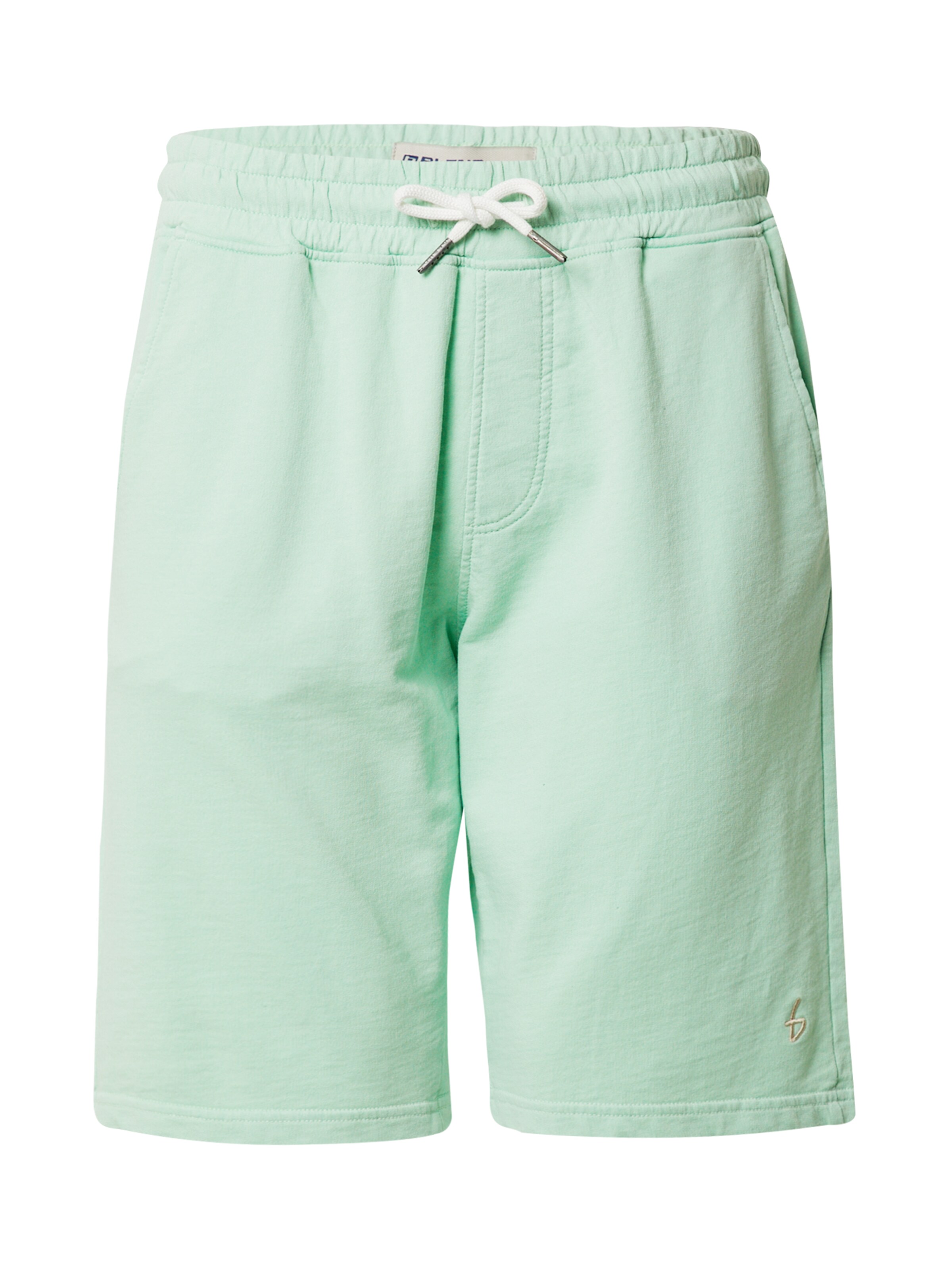 Männer Große Größen BLEND Shorts in Mint - AB16599