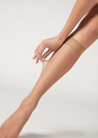 CALZEDONIA Knee High Socks in Beige: front