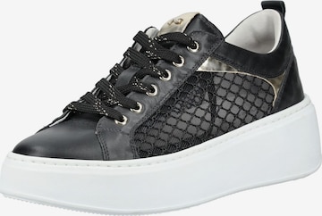 Baskets basses Nero Giardini en noir : devant