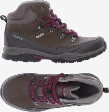 TRESPASS Sneakers & Trainers in 37 in Brown: front
