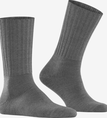 FALKE Socks 'Nelson' in Grey: front
