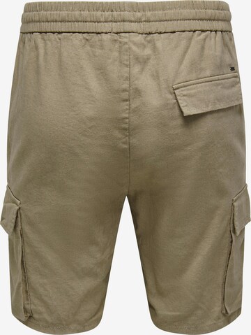 Regular Pantalon cargo 'Sinus' Only & Sons en vert