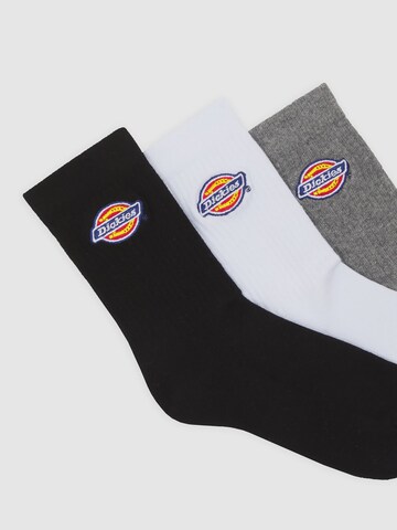 Calzino 'Valley Grove' di DICKIES in grigio