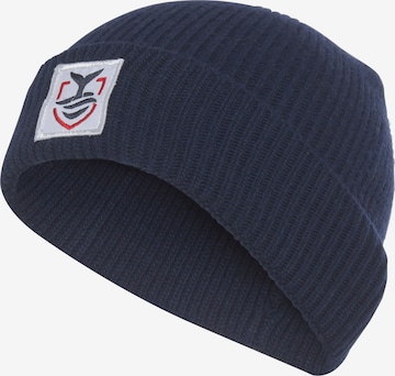 DELMAO Beanie in Blue: front