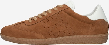 BLACKSTONE Sneakers laag 'Lime Wren Perf DG363' in Bruin: voorkant