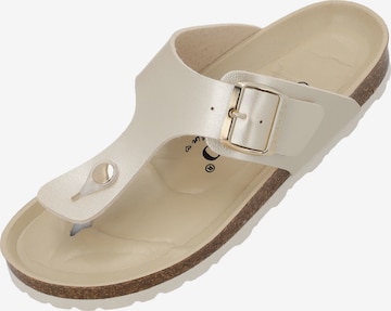 Infradito 'Kos BEGS' di Palado in oro: frontale