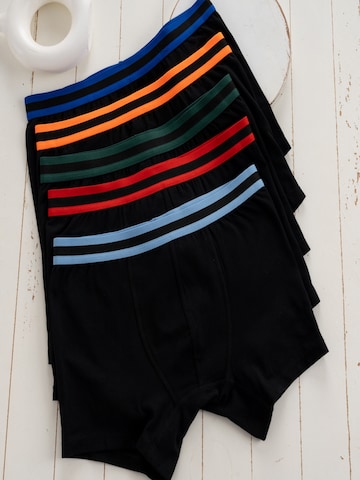 LOREZA Underpants 'Jungen Boxershorts Armin' in Mixed colours