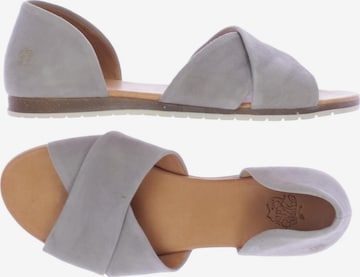 Apple of Eden Sandals & High-Heeled Sandals in 40 in Grey: front