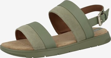GEOX Sandals 'Dandra' in Green: front