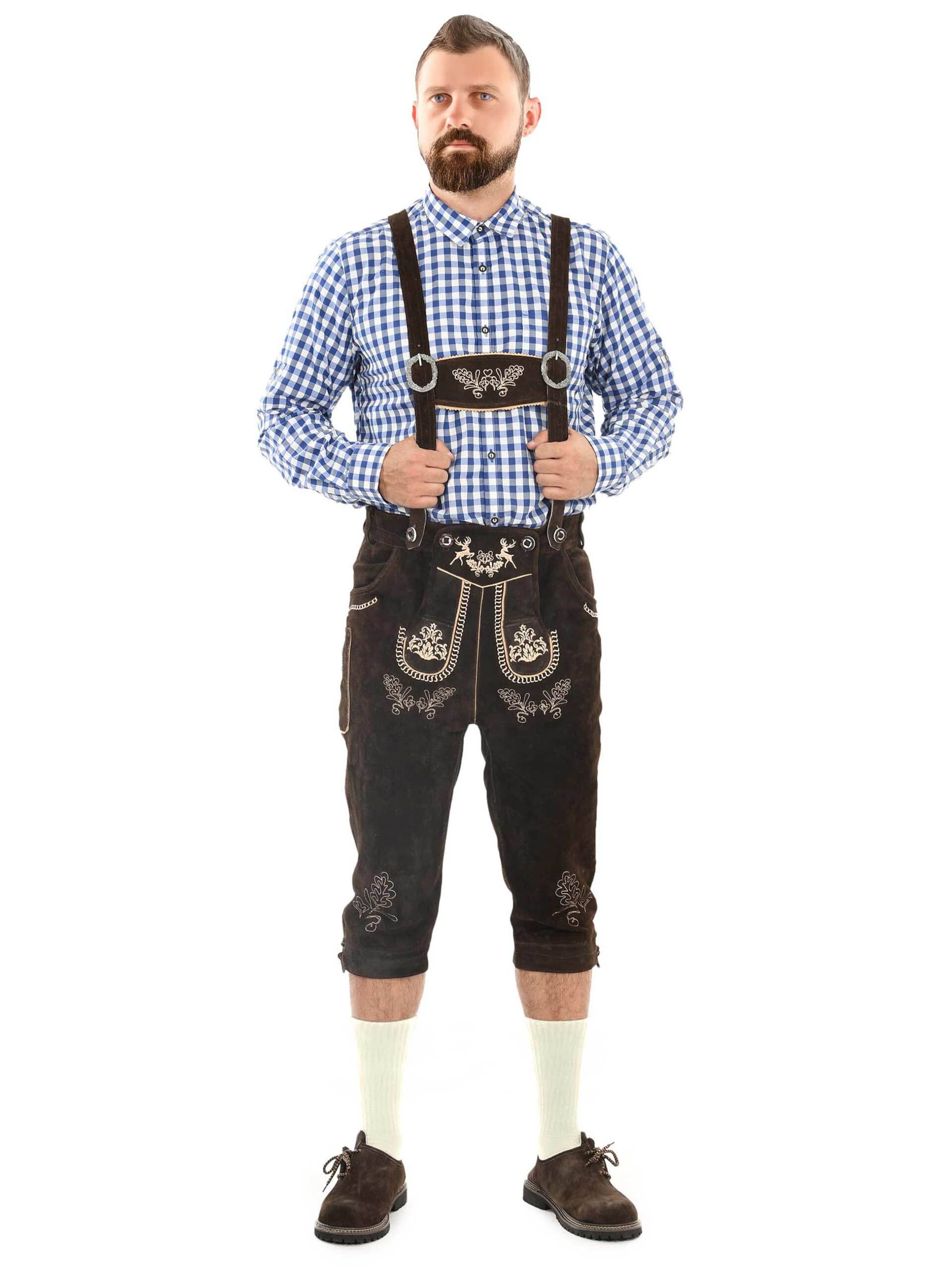 Alessandro Salvarini Regular Traditional pants in Brown: front