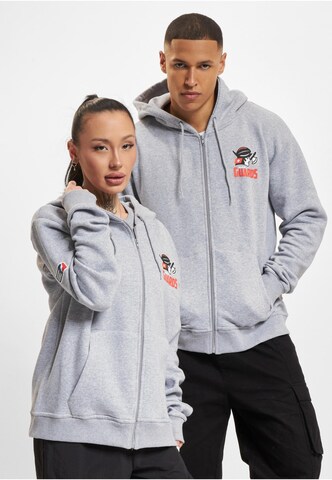 European League of Football Sweatjacke 'DefShop x European League of Football Helvetic Guards 1' in Grau: Vorderseite