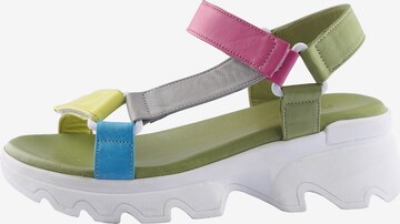 D.MoRo Shoes Sandals 'Rebalta' in Mixed colors