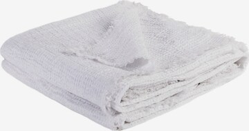 ZOEPPRITZ Blankets 'Honeybee' in White: front