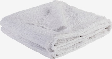 ZOEPPRITZ Blankets 'Honeybee' in White: front