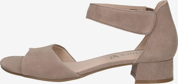 CAPRICE Sandals in Brown