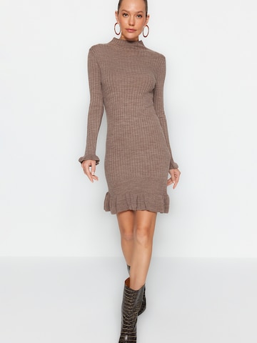 Trendyol Kleid in Braun: Vorderseite