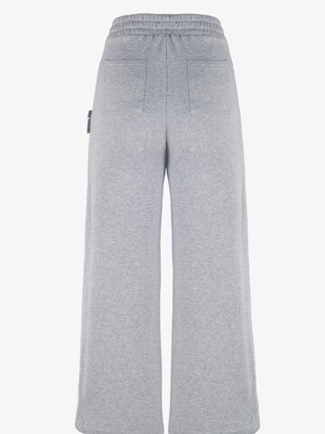 Loosefit Pantaloni 'FLOW SWEATPANTS GREY' di FEMSSY in grigio
