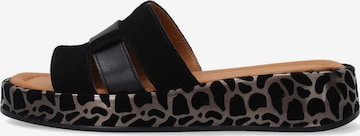VENEZIA Mules 'Venezia' in Black: front