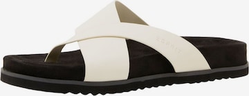 ESPRIT Teenslipper in Beige: voorkant