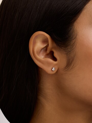Orecchini 'SINEE' di Ted Baker in argento