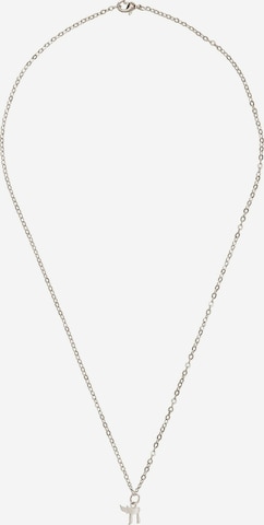 Gemshine Ketting in Zilver: voorkant