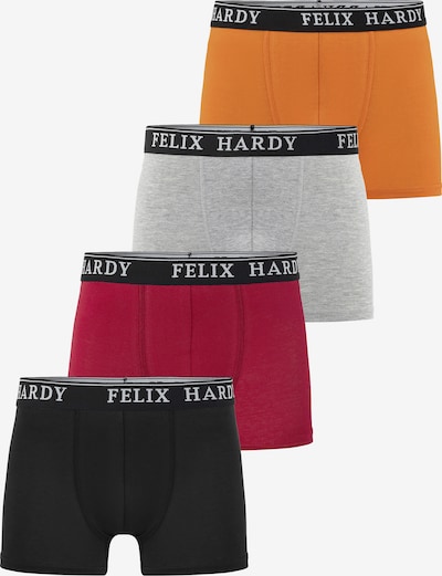 Boxer trumpikės iš Felix Hardy, spalva – bazalto pilka / oranžinė / raudona / juoda, Prekių apžvalga