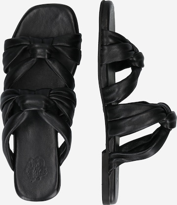 Apple of EdenNatikače s potpeticom - crna boja