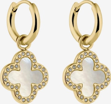 Cala Rose Ohrringe 'CLOVER' in Gold: Vorderseite