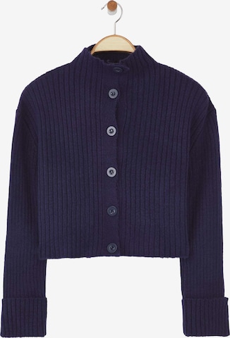 Trendyol Strickjacke in Blau: Vorderseite