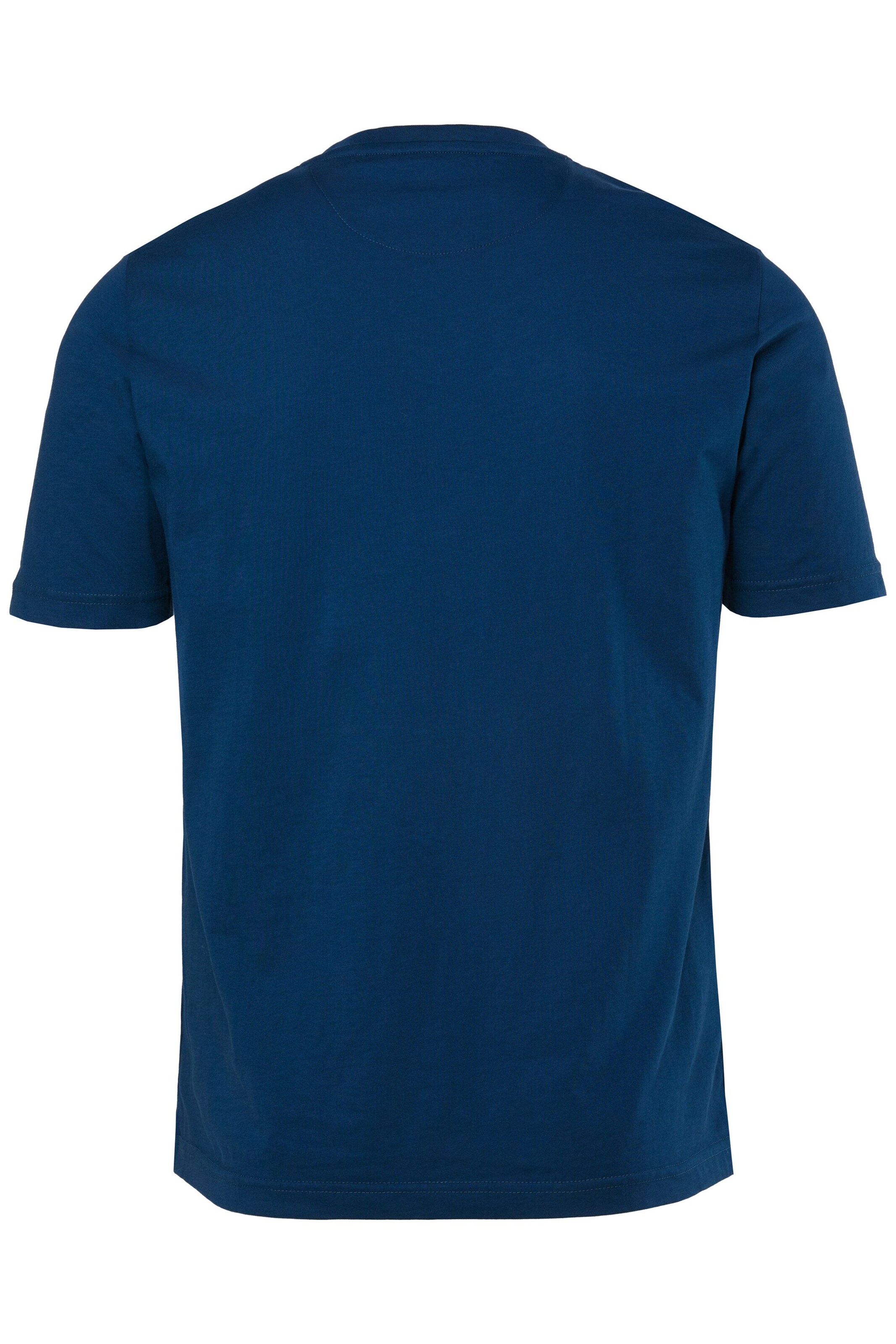 Men Plus Shirt in Blue